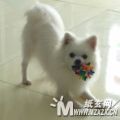 我的相册
