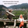 我的相册