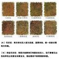 我的相册