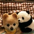 我的相册