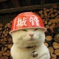 我的相册