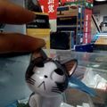 小奇猫 。