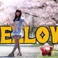 贴图相册