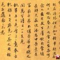 我的相册
