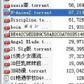 我的相册