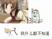 gras51as5606afs54eqy865g1v11rh1681DF5S23B0DR564461VASDF561.gif