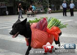 搞笑.jpg