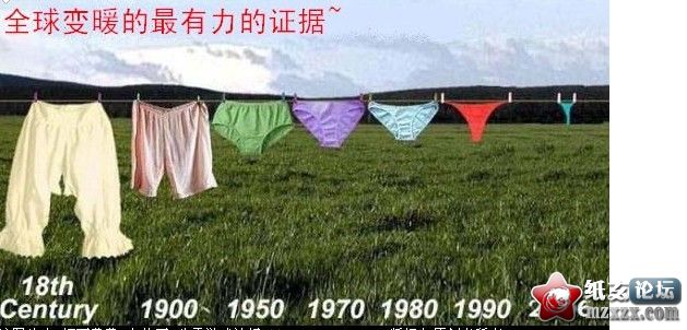 1111.jpg