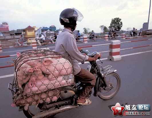 牛人