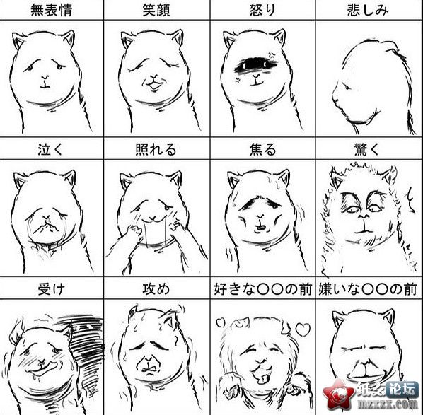 a882ef5308ebaa1342a75bf9.jpg