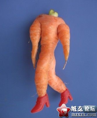 201111260581431.jpg