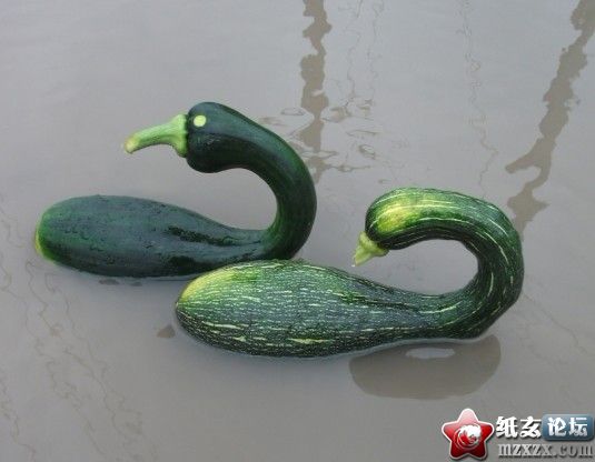 201111260581435.jpg