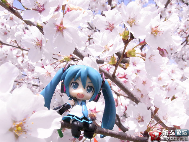 6700f0f20109ef51b07ec5fa.jpg