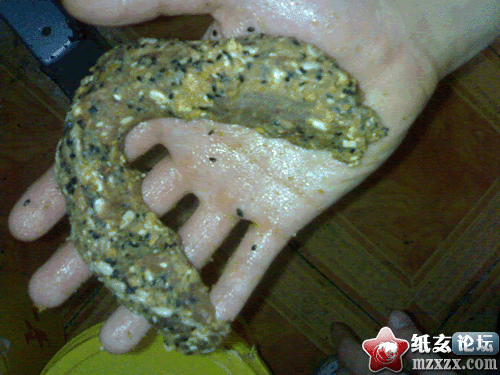 20090528013.gif