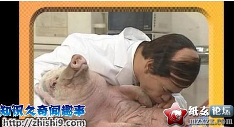 日本人恶趣味之图