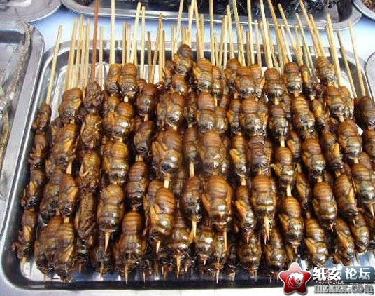 QQ截图20120708173237.jpg
