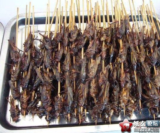 QQ截图20120708173257.jpg