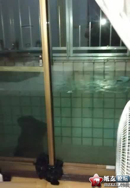 (9).jpg
