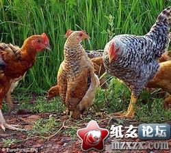 2_70931189_diary.jpg