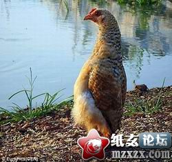 2_70931190_diary.jpg
