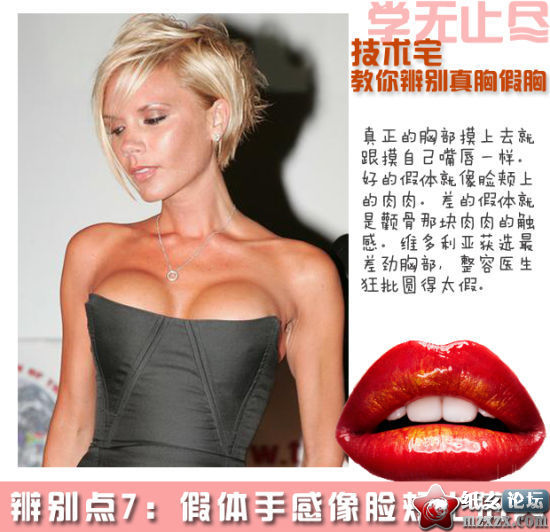 c3fb5a1ed21b0ef44df95cbfddc451da80cb3ef3.jpg