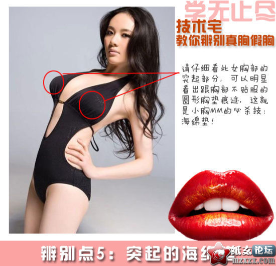 d1c47566d0160924cab767fad40735fae7cd347e.jpg