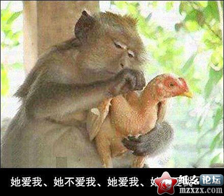 WO CAO ! 连根毛都没拉！.jpg