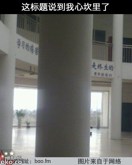 7f0f18cejw1e2u26jhrx8j.jpg