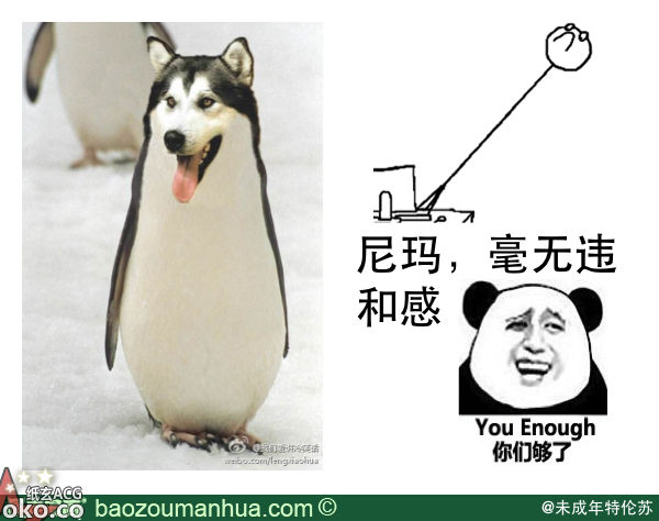 3e514423ba0fd496.jpg