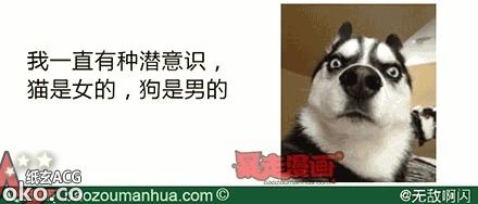 6a3f7b7ajw1e3kbgfvyk5j.jpg
