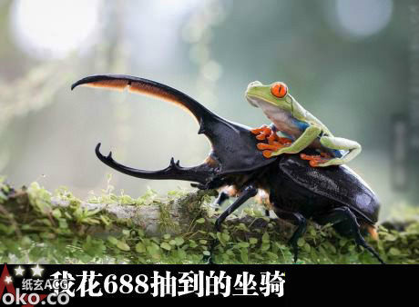 坐骑.jpg
