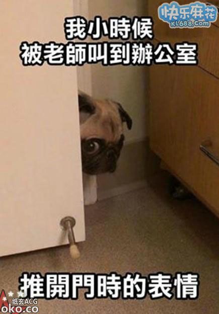 2013101709272534603.jpg