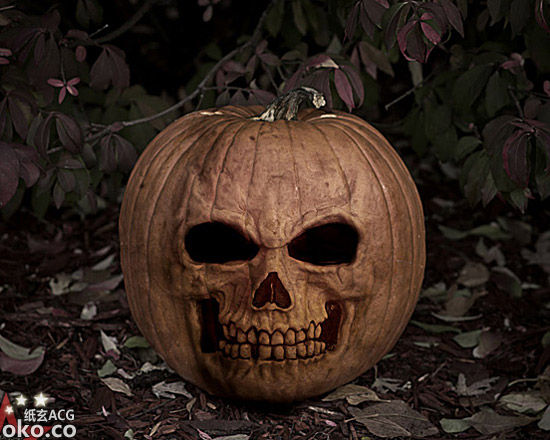 2013117213024519.jpg