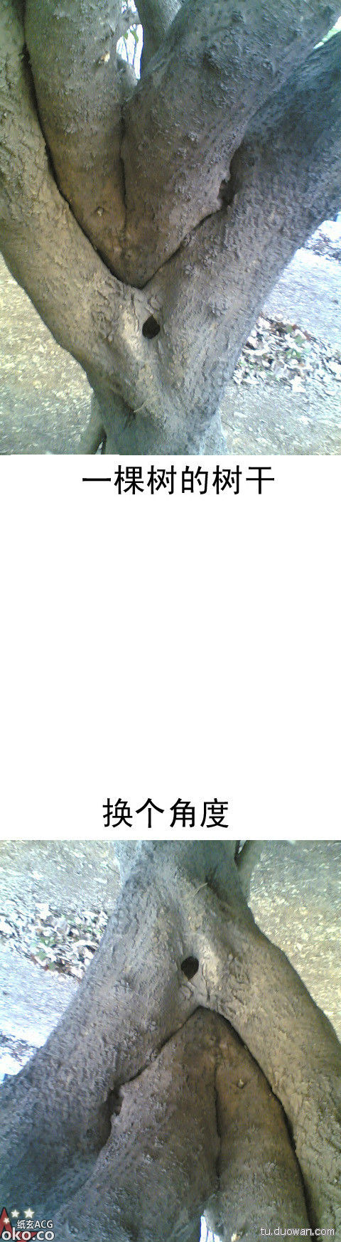 02a217cce8378c9c2ba274a6bf87ec49.jpg