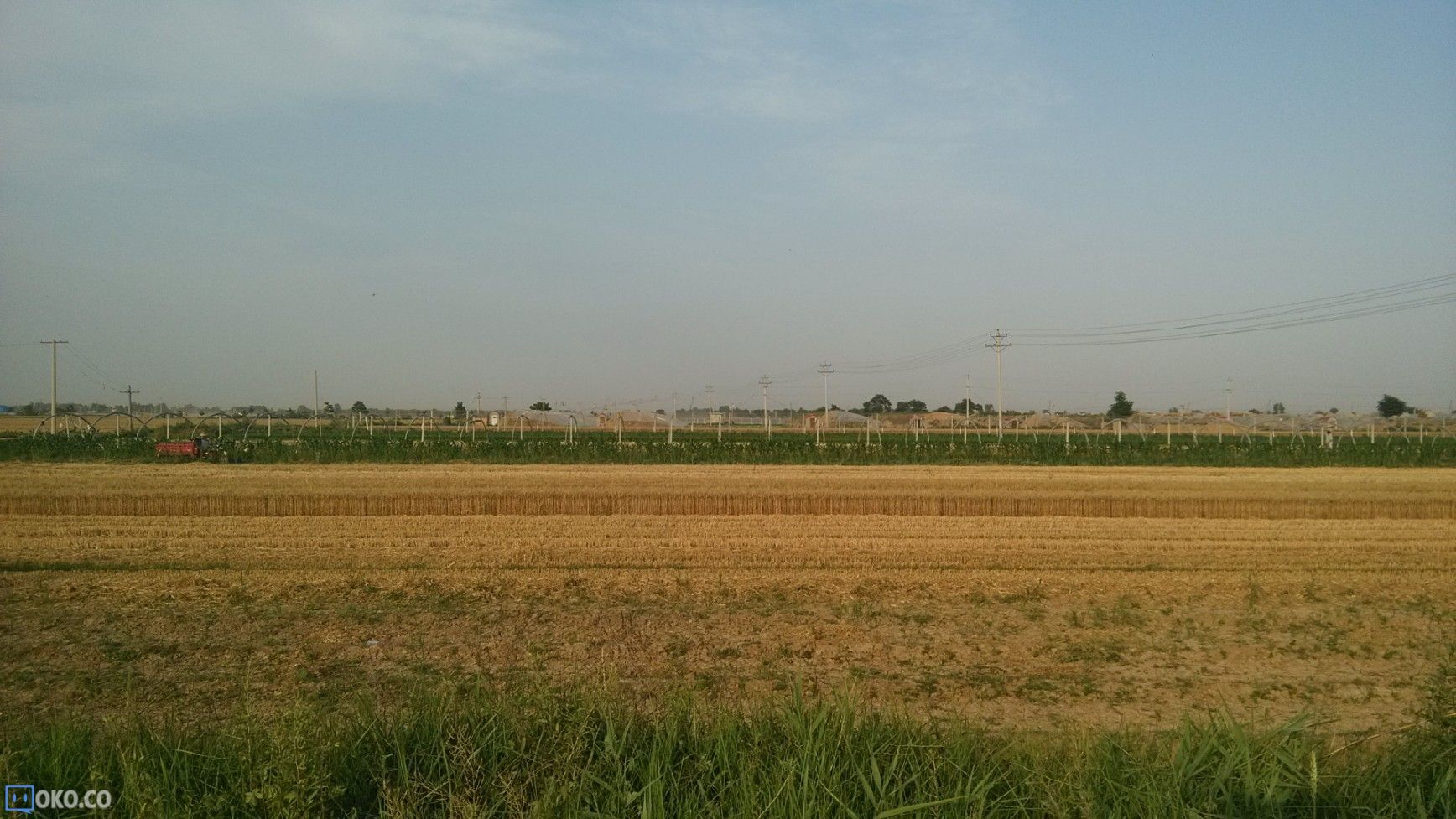 QQ图片20140609190148.jpg
