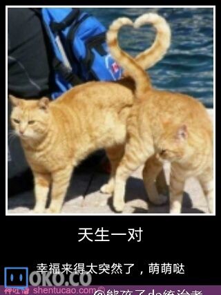 e0adc183jw1ekdj745dhhj208w0bvwfj.jpg