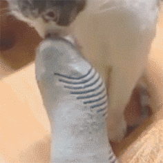 20141020144206xqjoqp_o.gif