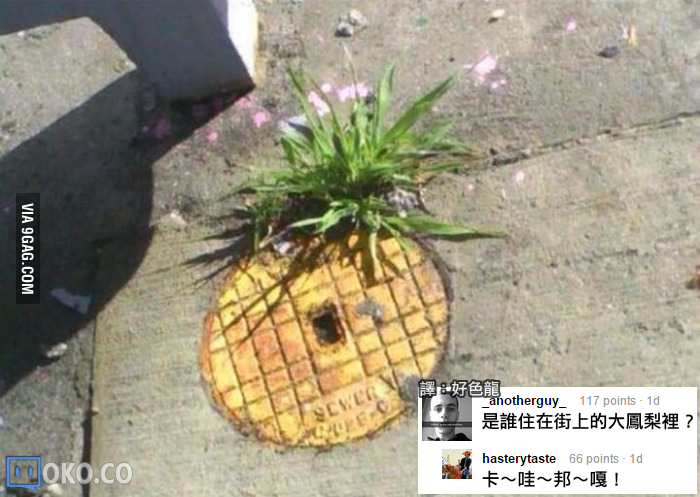 03_pineapple.png
