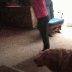 QQ图片20141102113310.gif