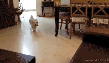 aGVLEbz_460sa_v1.gif