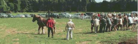 b (2).gif