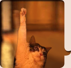 1418895715768.gif