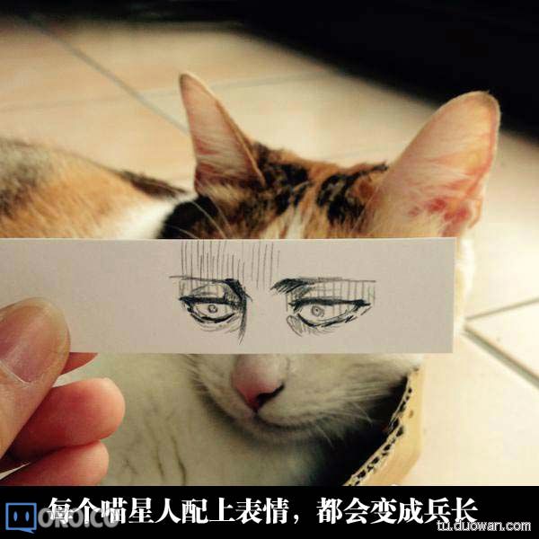 6f0fce1ce60db5dfea06183a6b9ddbc1.jpg
