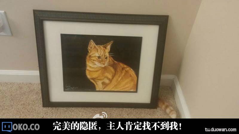 bf491ba47e032b7cd41823c0123f2c3c.jpg