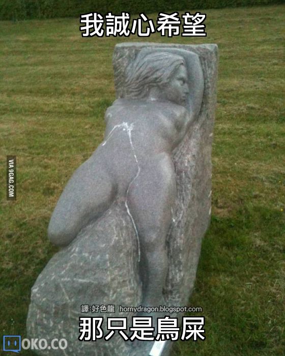 04_birdpoop.jpg