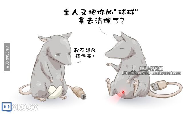 04_mouse.jpg