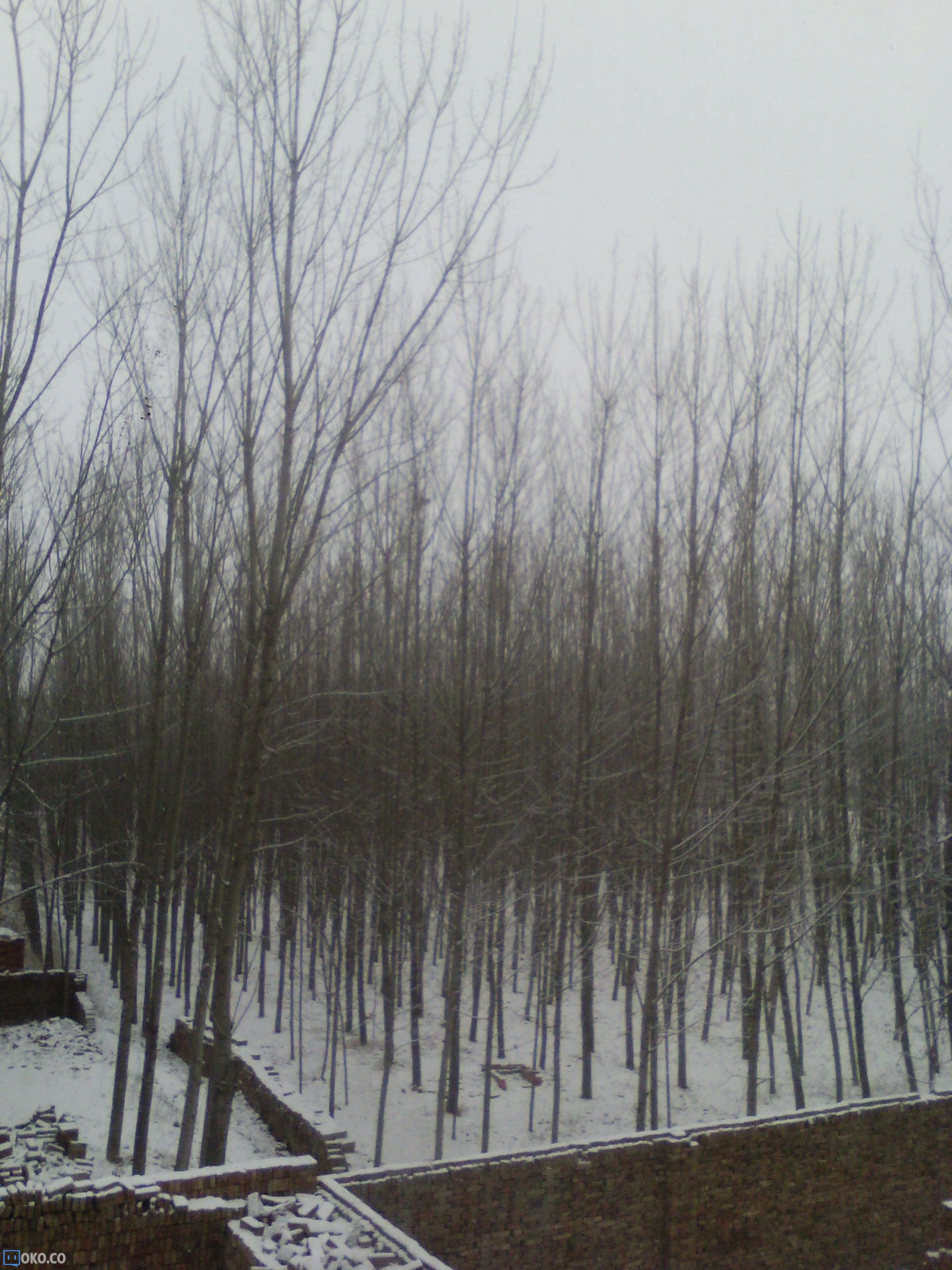 IMG_20150125_090605.jpg