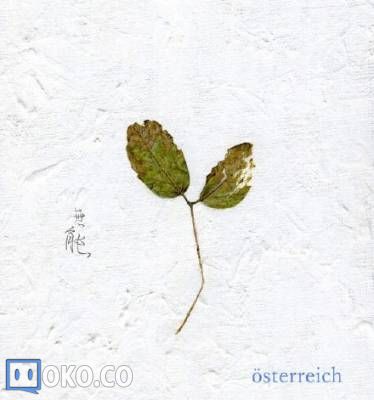 Cover2.jpg