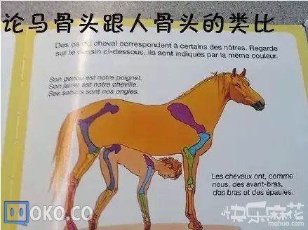 CgAAhlUNerSAMI6HAACXOMOHwfk955.jpg