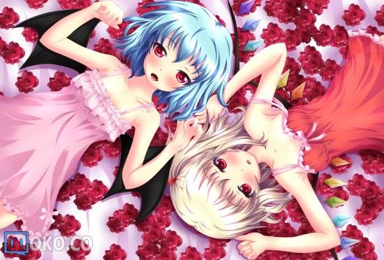 〖图集〗芙兰朵露第五弹
